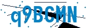 recaptcha