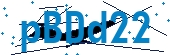 recaptcha