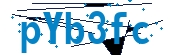 recaptcha