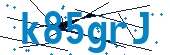 recaptcha
